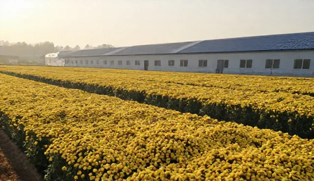 农资供应中的储存与运输环节优化建议